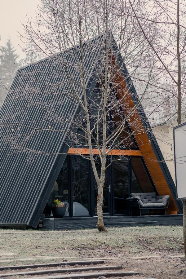 The Palo Cabins Predeal Eksteriør bilde
